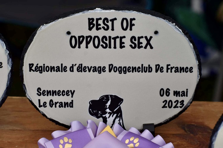 Ardoise à suspendre